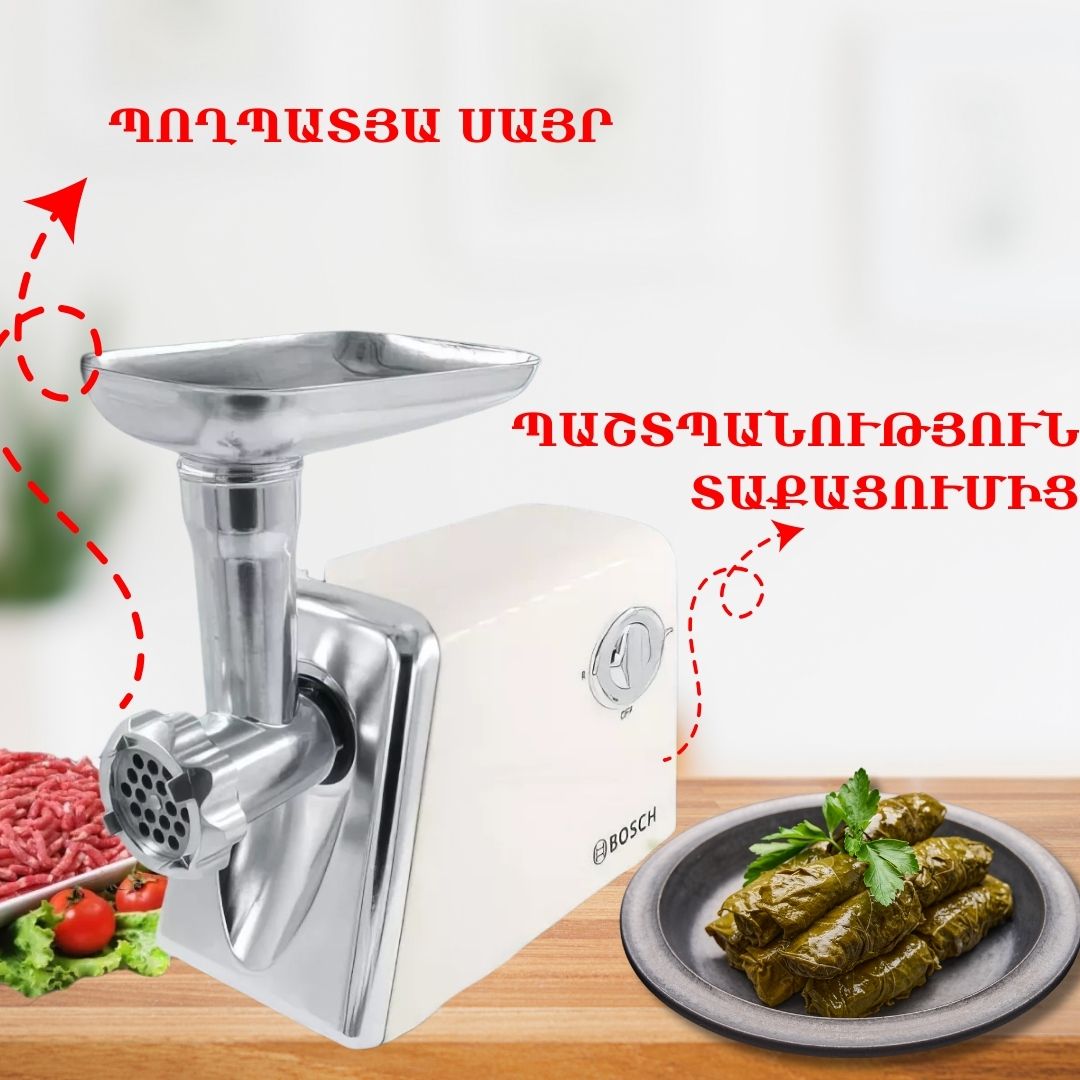 էԼԵԿՏՐԱԿԱՆ ՄՍԱՂԱՑ BOSCH 3-ը 1-ում